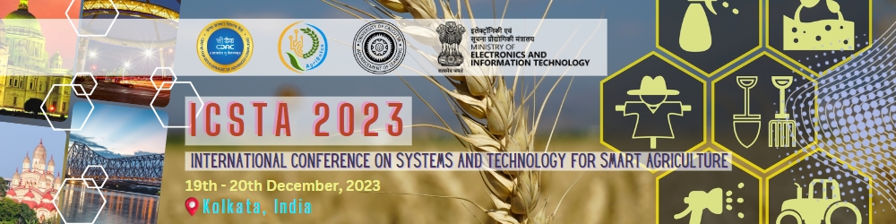 main slide