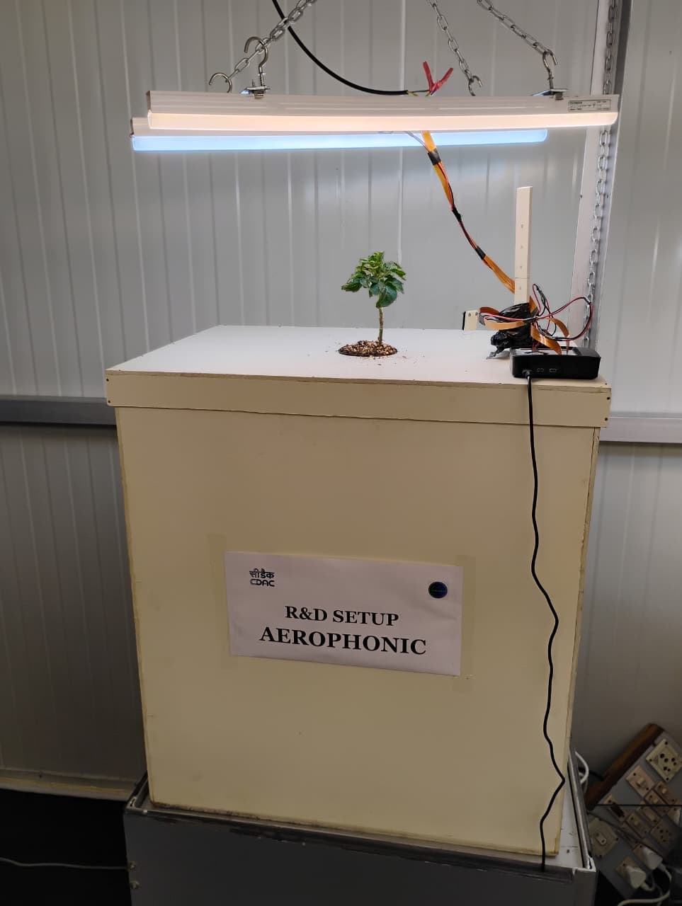 Aeroponic Plant for R&D