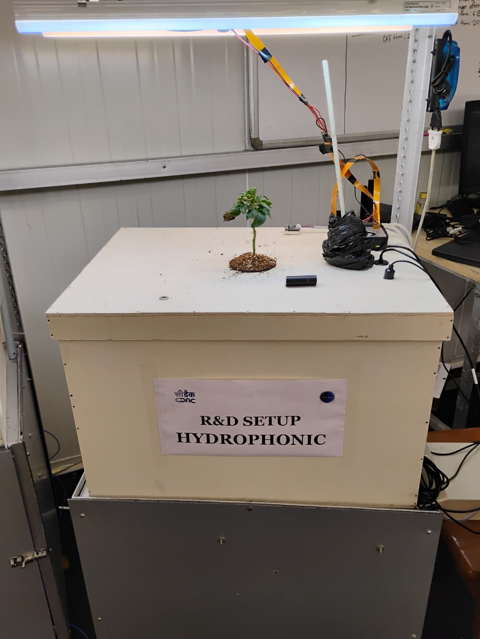Hydroponic Plant for R&D