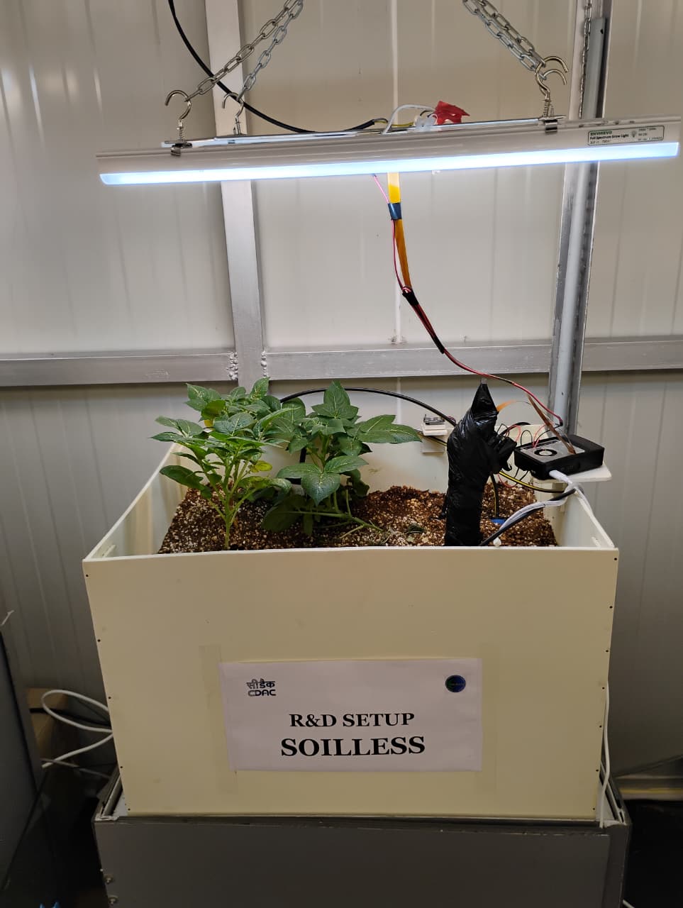 Soilless Plant for R&D